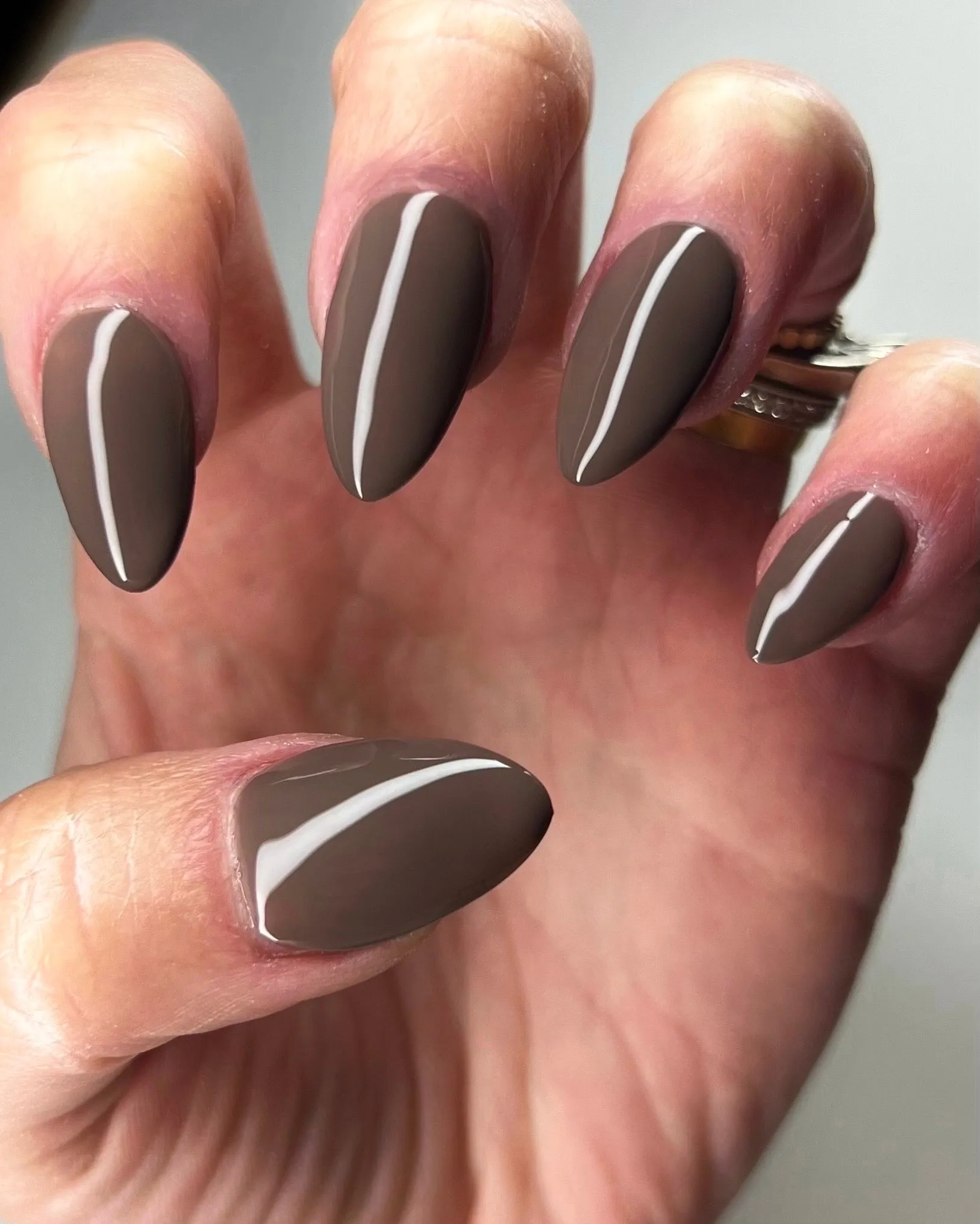 Trampeltier (Gel)